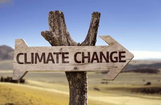 Wooden sign pointing towards climate change concept in a field.