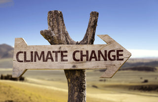 Wooden sign pointing towards climate change concept in a field.