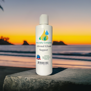 An 8 oz bottle of Adrenal Gland Support Lotion sitting on a stone overlooking a beach sunset